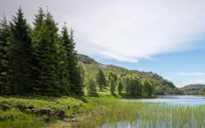 Fokus på bærekraft